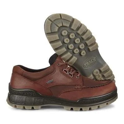 Ecco Track 25 GTX Bison