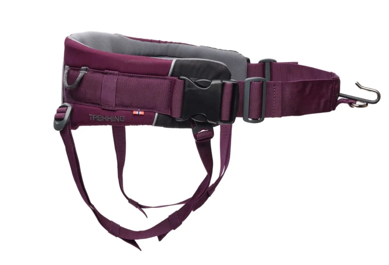 Non-stop Dogwear Trekking Belt 2.0 Size M Purple | Buy Non-stop Dogwear Trekking Belt 2.0 Size M Purple here | Outnorth