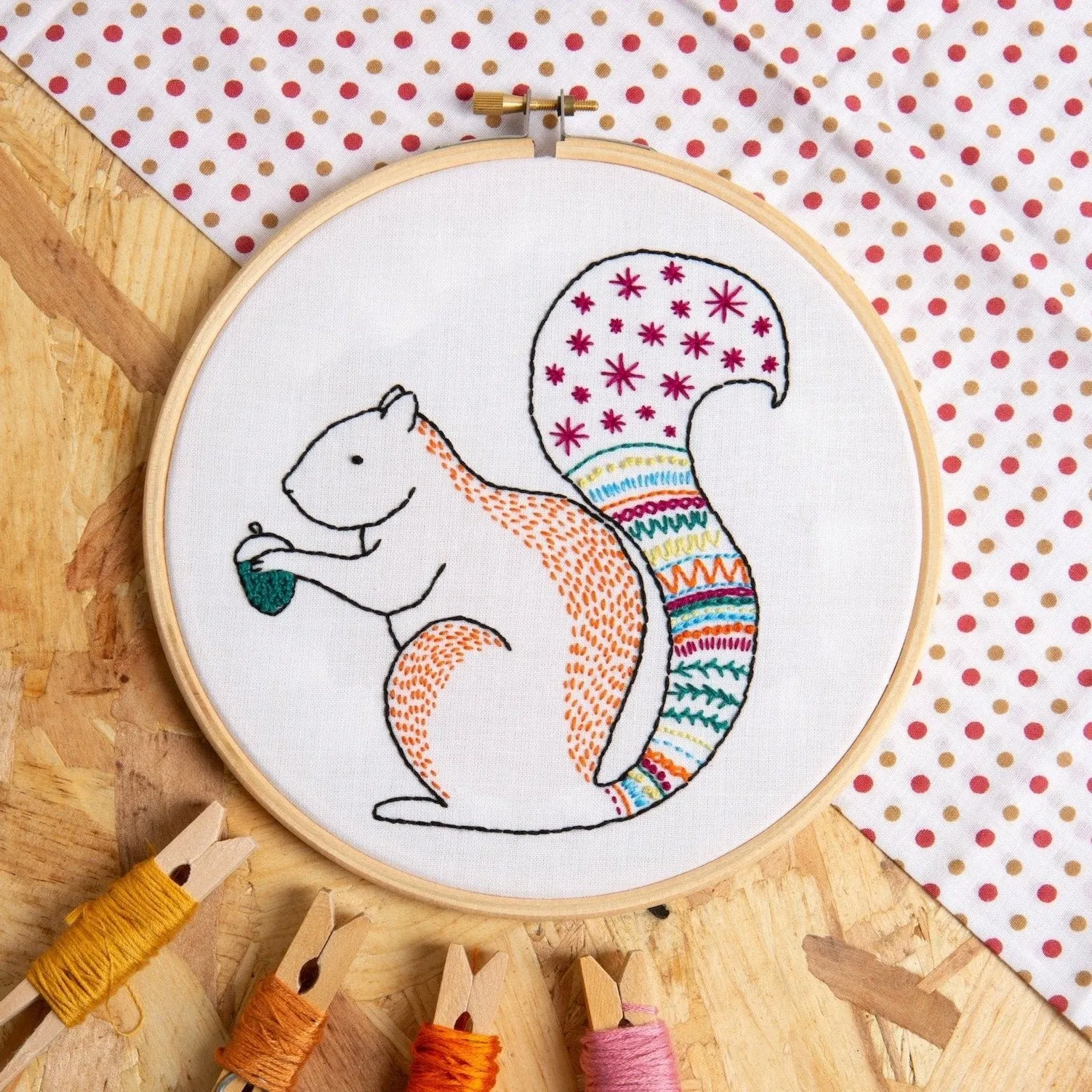 Squirrel Embroidery Kit