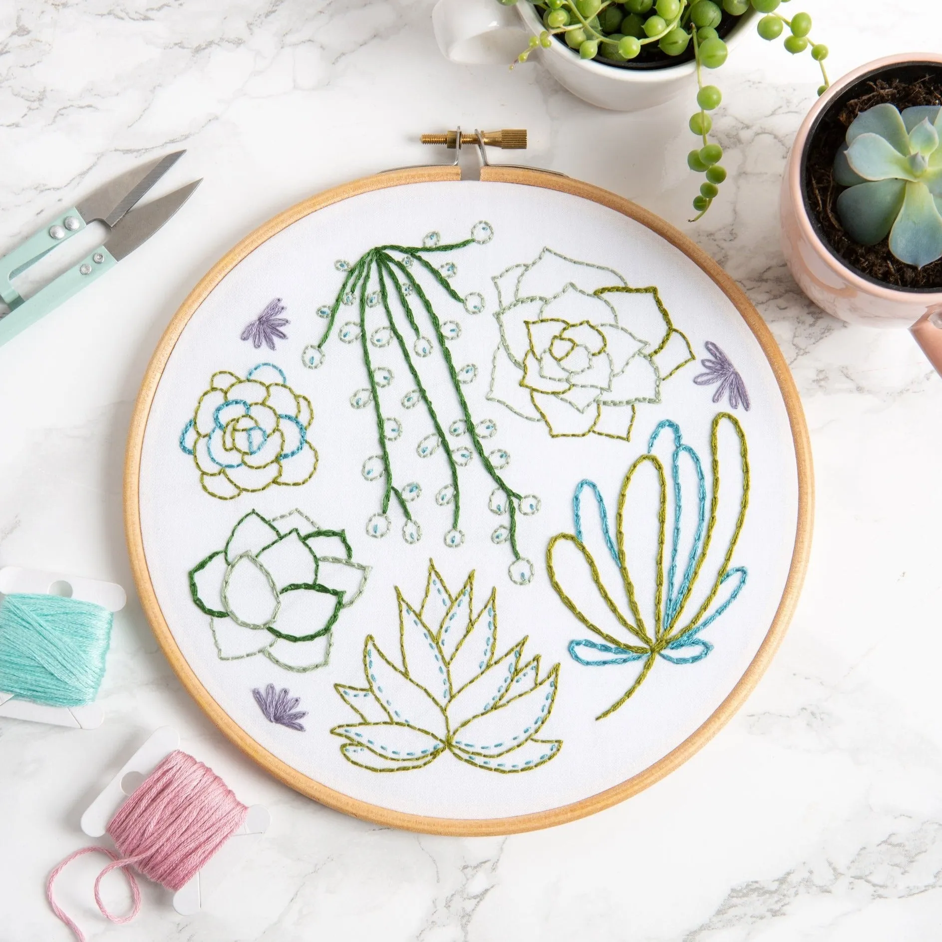 Succulents Embroidery Kit