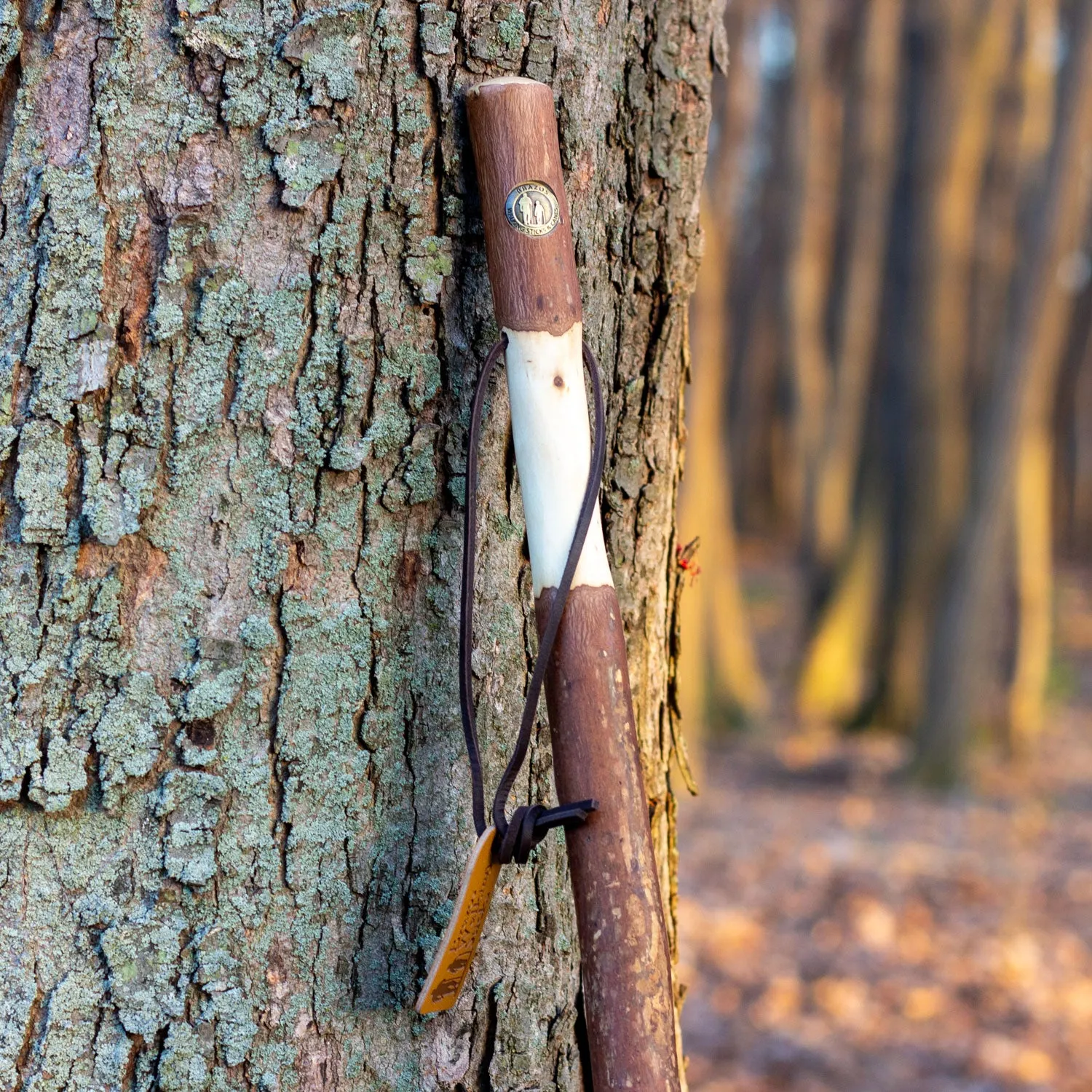 Twisted Sweet Gum Rustic Walking Stick