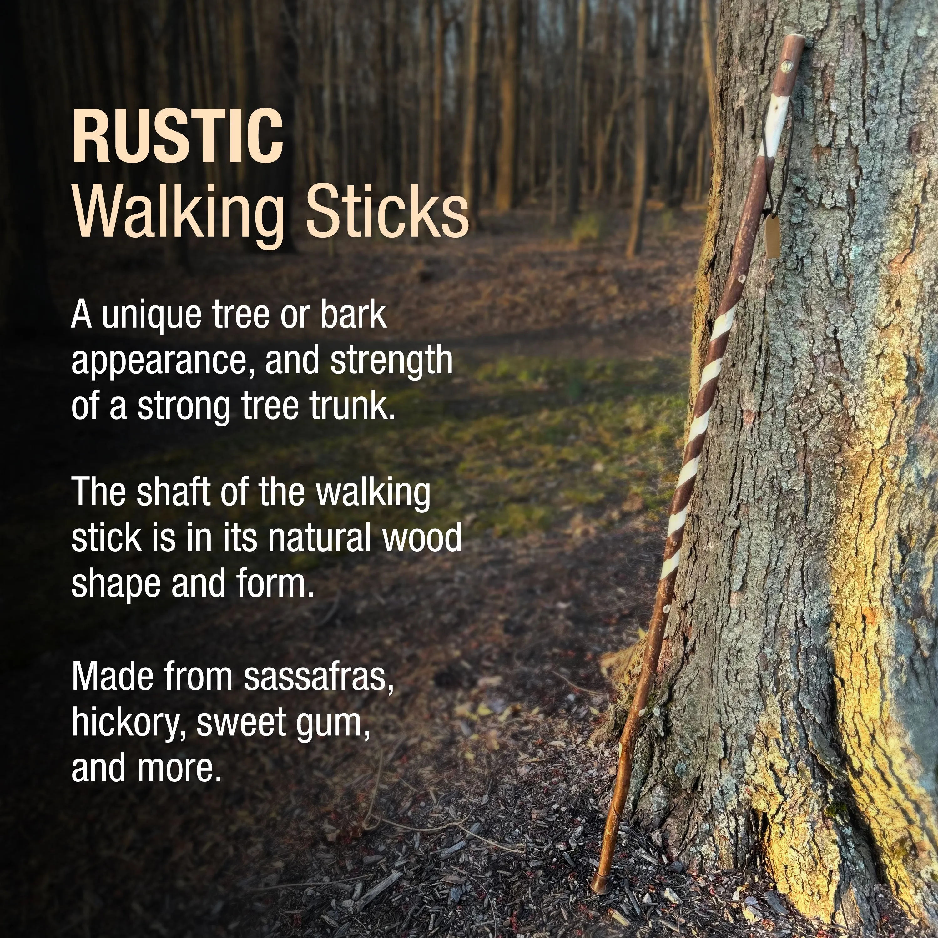 Twisted Sweet Gum Rustic Walking Stick